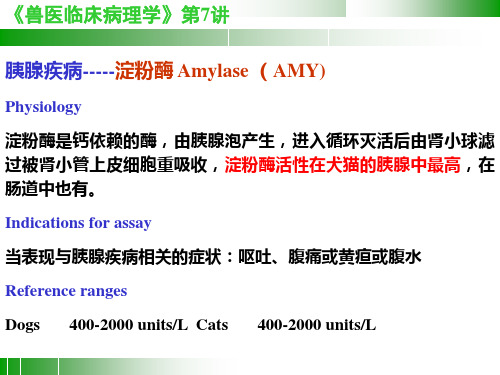 兽医临床病理学 第7讲肌肉胰腺