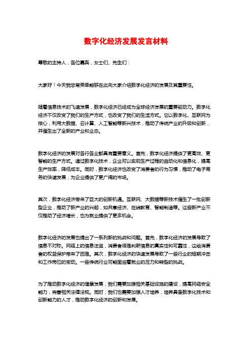 数字化经济发展发言材料