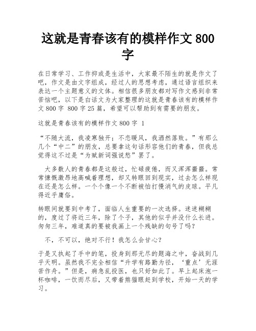 这就是青春该有的模样作文800字