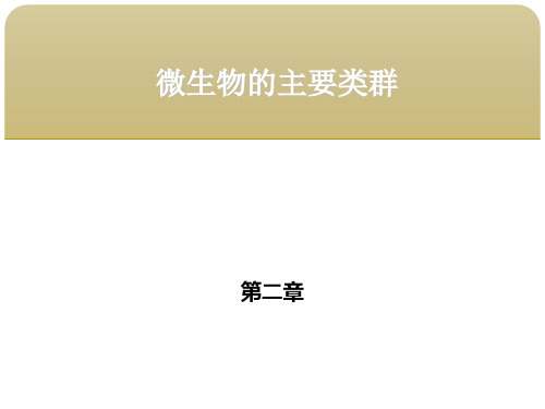 食品微生物学第二章 微生物的主要类群 第二节真核微生物