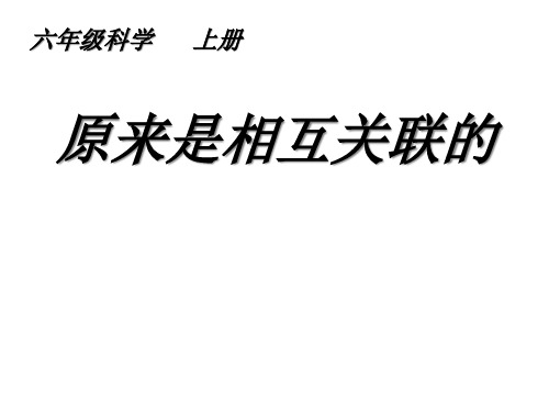 六年级上科学优秀课件-4.6 原来是相互关联的｜教科版 (31页PPT)