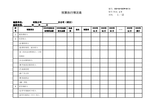 预算执行情况表