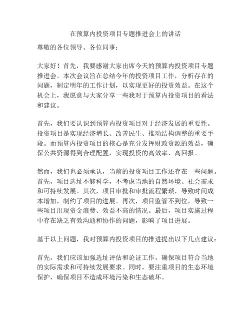 在预算内投资项目专题推进会上的讲话