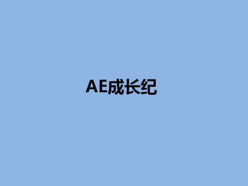 AE客户部培训