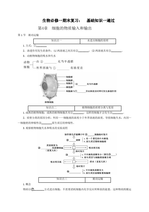 第4章 细胞的物质输入和输出 期末复习知识点一遍过【新教材】人教版(2019)高一上学期生物必修一