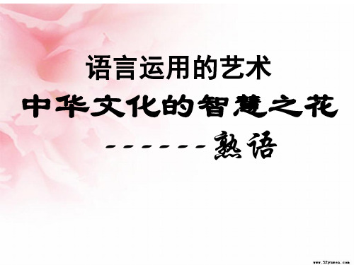 中华文化的智慧之花——熟语