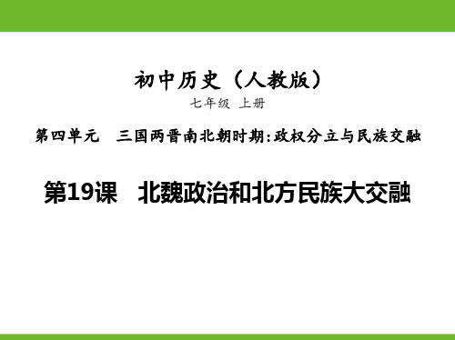 人教版七年级历史上册  北魏政治和北方民族大交融 (2)