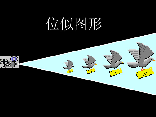 新人教版九年级数学下册《二十七章 相似 27.3 位似 位似图形概念》课件_25