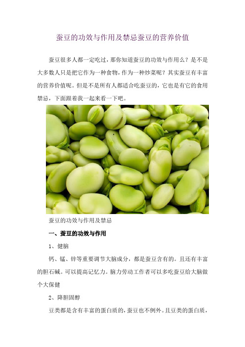 蚕豆的功效与作用及禁忌 蚕豆的营养价值