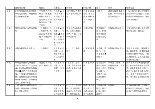 藻类各个门比较