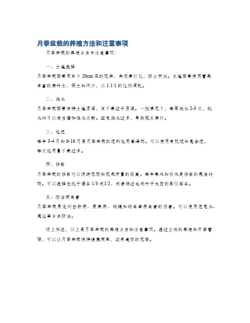 月季盆栽的养殖方法和注意事项