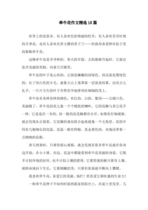 牵牛花作文精选15篇精选