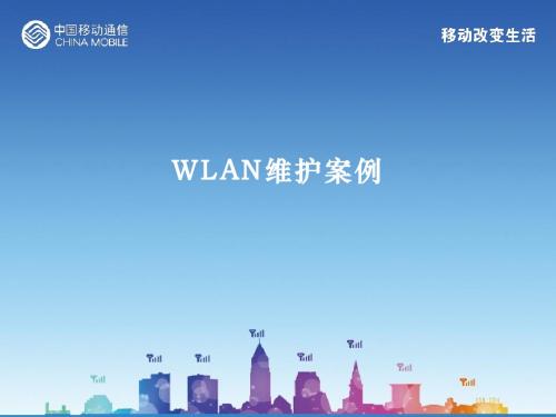 04WLAN维护案例集