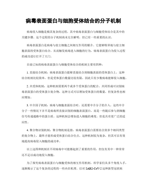 病毒表面蛋白与细胞受体结合的分子机制