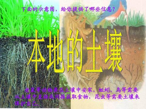 三年级科学上册3.1本地的土壤PPT课件1湘教版
