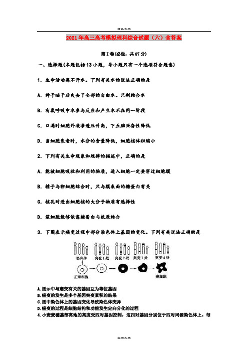 2021年高三高考模拟理科综合试题(六)含答案