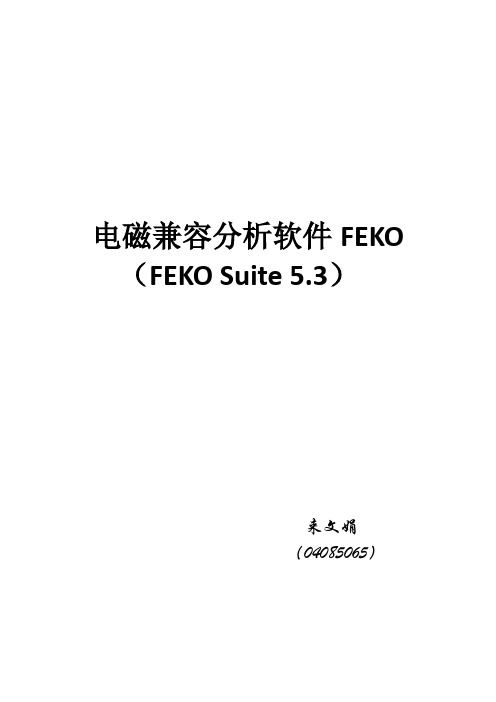 电磁场分析软件FEKO