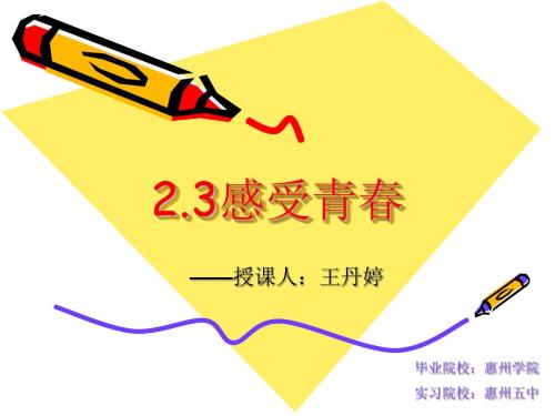 粤教版政治2.3感受青春