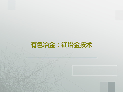 有色冶金：镁冶金技术共25页文档