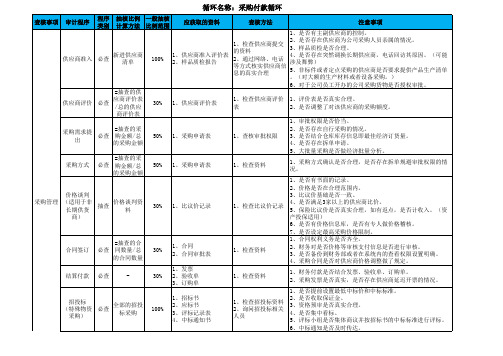 公司常规及专项审计手册(Excel版)