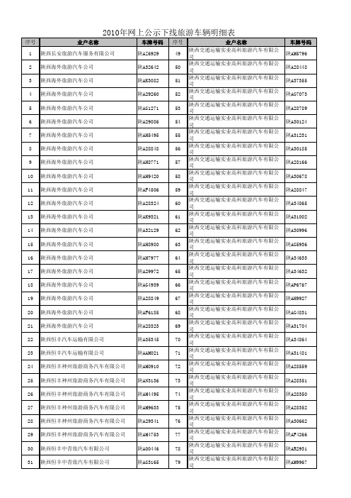 下线旅游车辆明细表xls