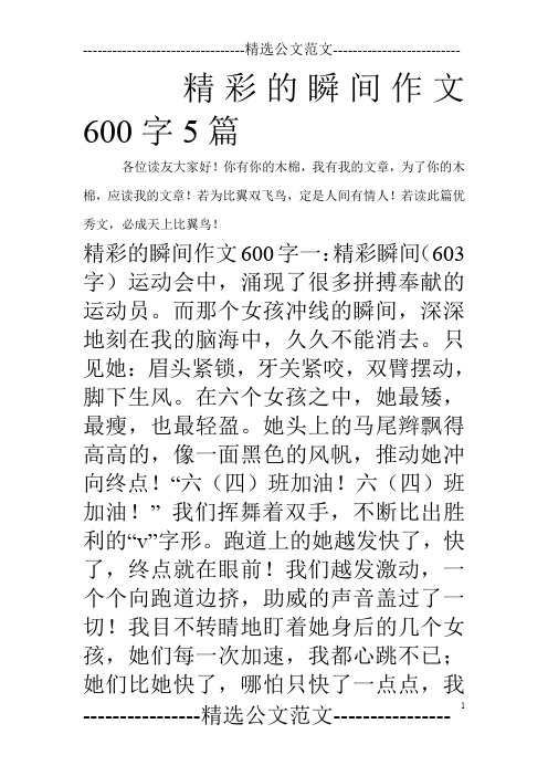 精彩的瞬间作文600字5篇_0