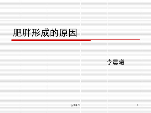 肥胖形成的原因  ppt课件