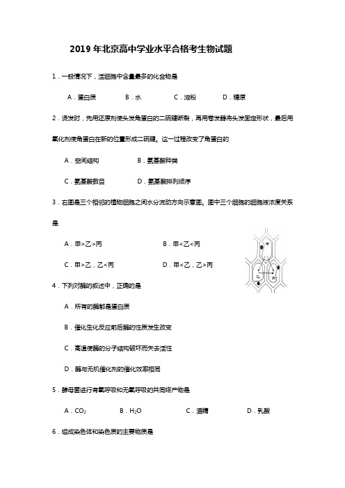 2019年北京高中学业水平合格考生物试题