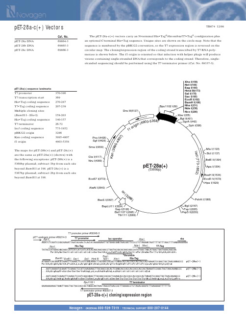 pET-28a-c(+) Vectors 图谱