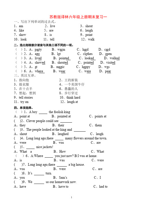 苏教译林版英语六年级上册期末测试题word版9