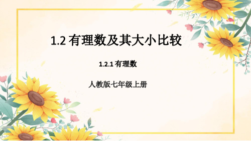 七年级上册数学第一章1.2.1有理数的概念