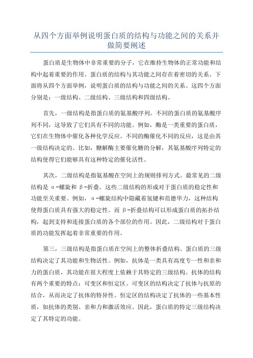 从四个方面举例说明蛋白质的结构与功能之间的关系并做简要阐述