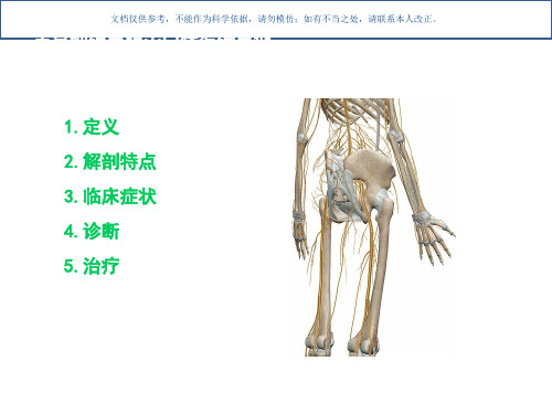 坐骨神经盆腔出口综合征课件