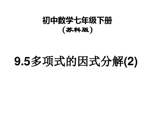 9.5多项式的因式分解(2)