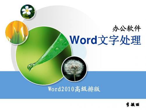 word(5)-图文混排