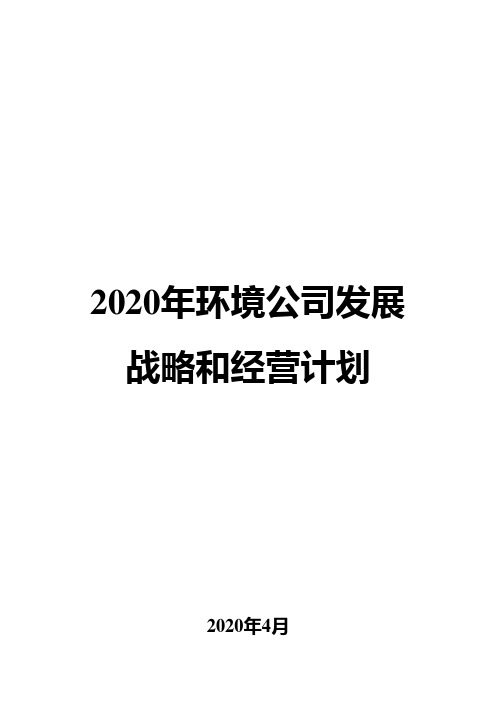 2020年环境公司发展战略和经营计划