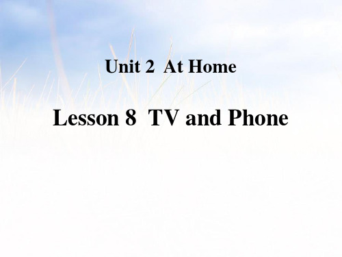 《TV and Phone》At Home PPT教学课件-冀教版四年级英语上册