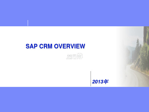 SAP CRM OVERVIEW