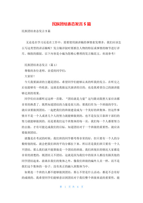 民族团结表态发言5篇