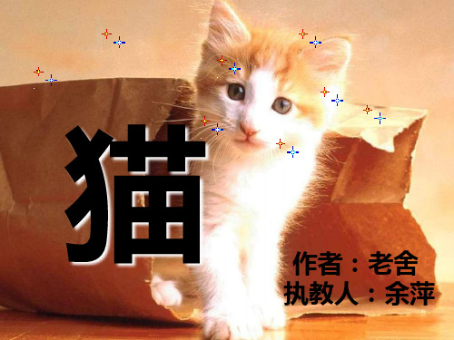 《猫》第二课时课件