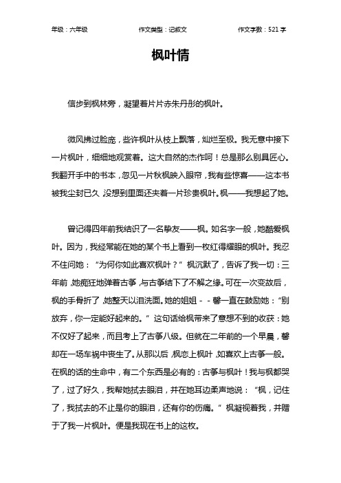 枫叶情作文【小学六年级500字】