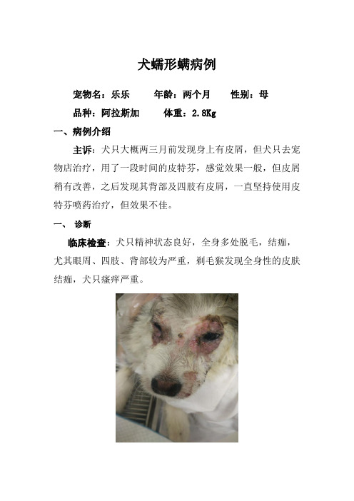 犬蠕形螨病例