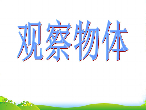 苏教版(202X秋)二年级数学上册《从上面、左侧面和正面观察物体》优课件