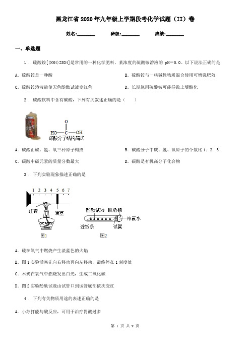 黑龙江省2020年九年级上学期段考化学试题(II)卷