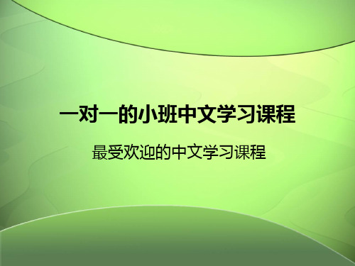 一对一的小班中文学习课程