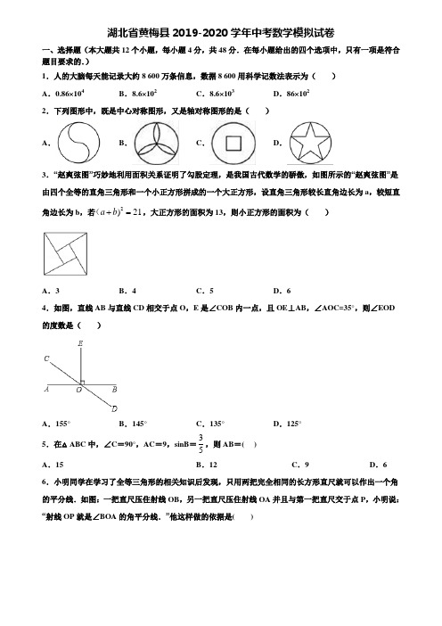 【附20套中考模拟试题】湖北省黄梅县2019-2020学年中考数学模拟试卷含解析