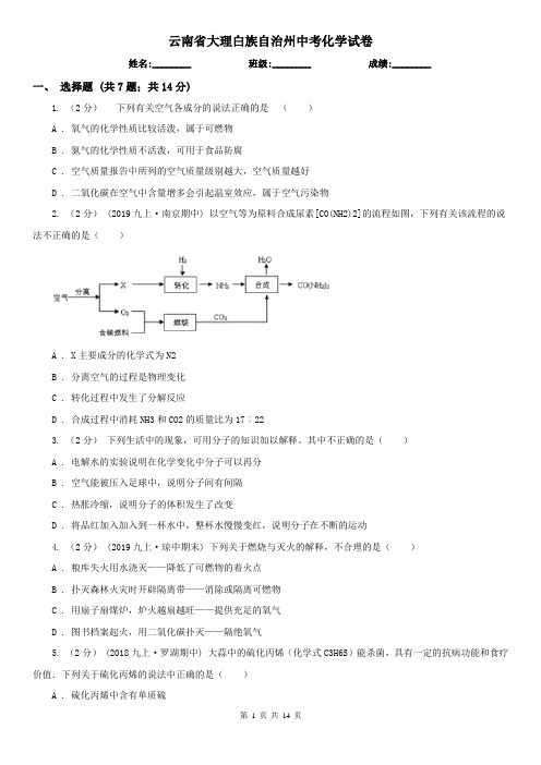 云南省大理白族自治州中考化学试卷