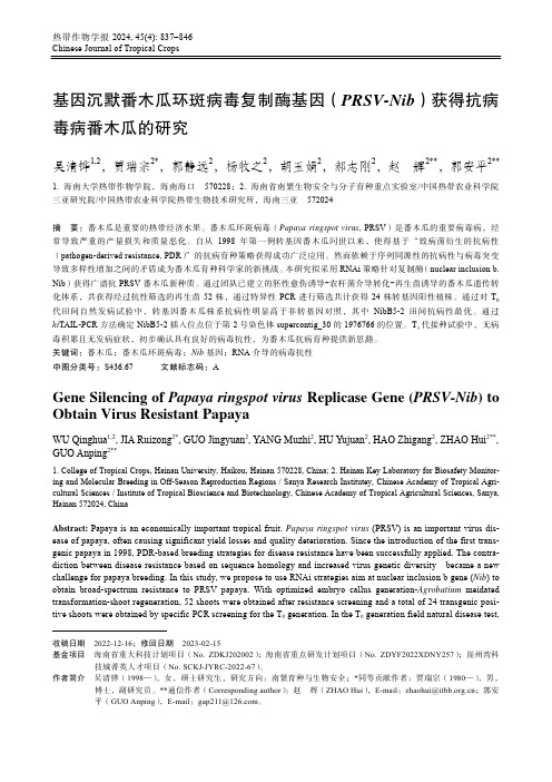 基因沉默番木瓜环斑病毒复制酶基因（PRSV-Nib）获得抗病毒病番木瓜的研究