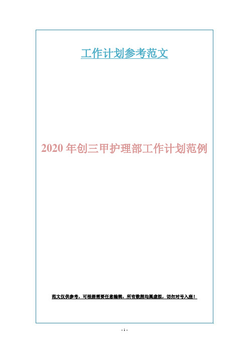 2020年创三甲护理部工作计划范例