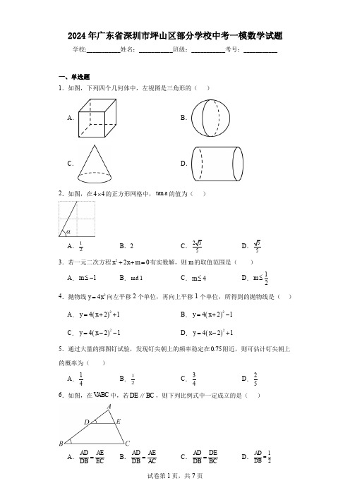 2024年广东省深圳市坪山区部分学校中考一模数学试题